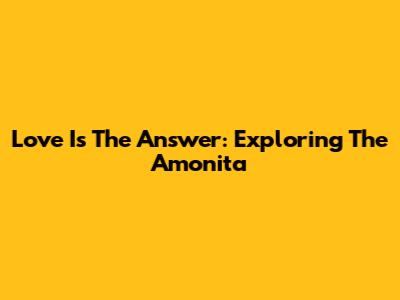 Love Is The Answer: Exploring The Amonita