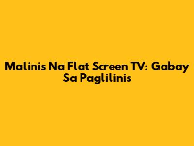 Malinis Na Flat Screen TV: Gabay Sa Paglilinis