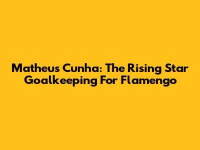 Matheus Cunha: The Rising Star Goalkeeping For Flamengo