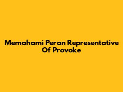 Memahami Peran Representative Of Provoke