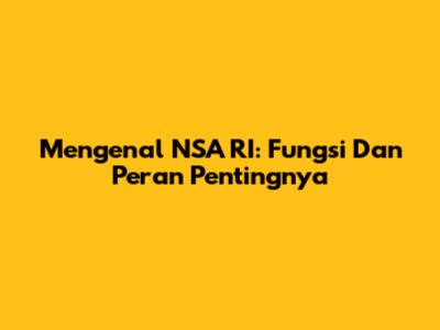 Mengenal NSA RI: Fungsi Dan Peran Pentingnya