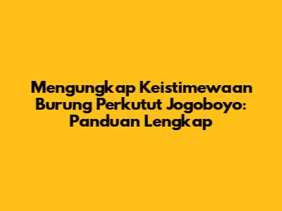 Mengungkap Keistimewaan Burung Perkutut Jogoboyo: Panduan Lengkap