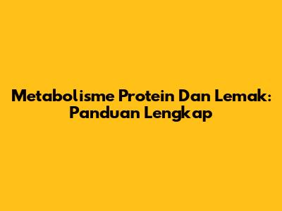 Metabolisme Protein Dan Lemak: Panduan Lengkap