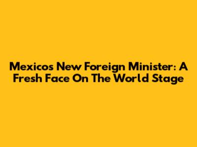 Mexico's New Foreign Minister: A Fresh Face On The World Stage