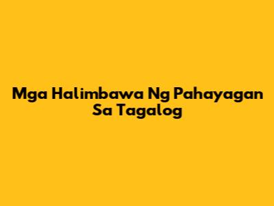 Mga Halimbawa Ng Pahayagan Sa Tagalog