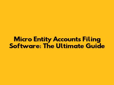 Micro Entity Accounts Filing Software: The Ultimate Guide