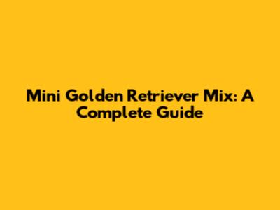 Mini Golden Retriever Mix: A Complete Guide