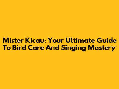 Mister Kicau: Your Ultimate Guide To Bird Care And Singing Mastery