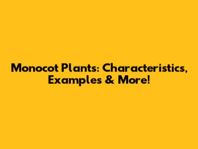 Monocot Plants: Characteristics, Examples & More!