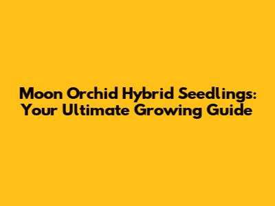Moon Orchid Hybrid Seedlings: Your Ultimate Growing Guide