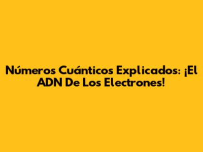 Números Cuánticos Explicados: ¡El ADN De Los Electrones!