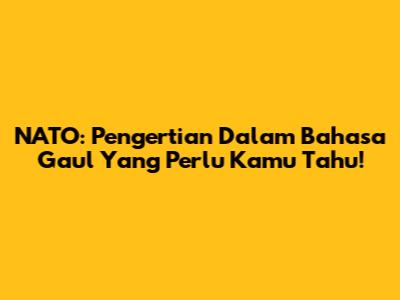 NATO: Pengertian Dalam Bahasa Gaul Yang Perlu Kamu Tahu!