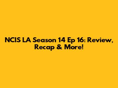 NCIS LA Season 14 Ep 16: Review, Recap & More!