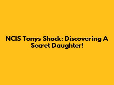 NCIS Tony's Shock: Discovering A Secret Daughter!