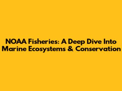 NOAA Fisheries: A Deep Dive Into Marine Ecosystems & Conservation