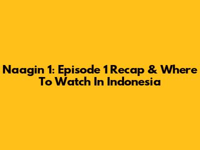 Naagin 1: Episode 1 Recap & Where To Watch In Indonesia