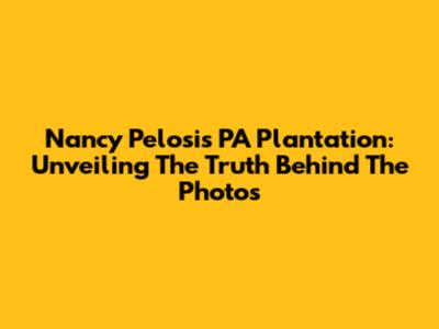 Nancy Pelosi's PA Plantation: Unveiling The Truth Behind The Photos