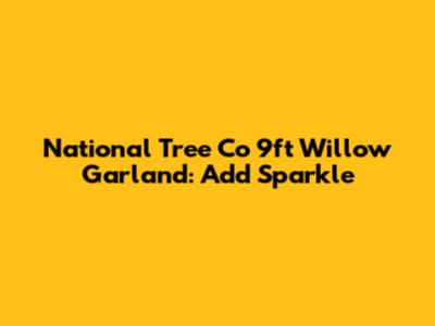 National Tree Co 9ft Willow Garland: Add Sparkle