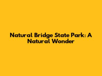 Natural Bridge State Park: A Natural Wonder