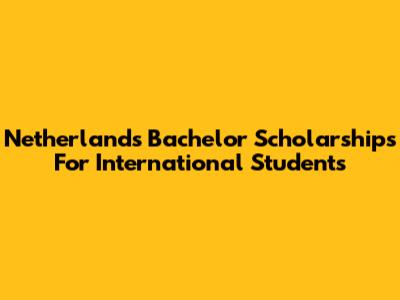 Netherlands Bachelor Scholarships For International Students
