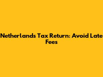 Netherlands Tax Return: Avoid Late Fees