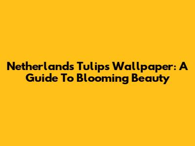 Netherlands Tulips Wallpaper: A Guide To Blooming Beauty