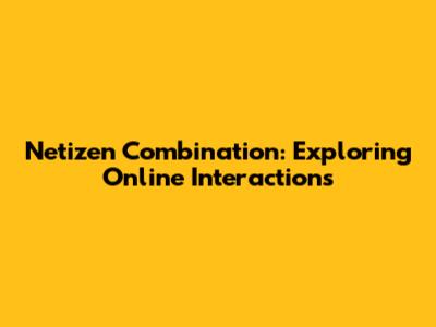 Netizen Combination: Exploring Online Interactions