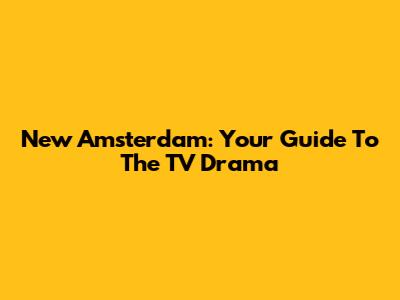 New Amsterdam: Your Guide To The TV Drama