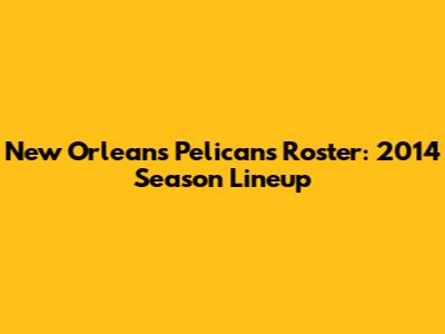 New Orleans Pelicans Roster: 2014 Season Lineup