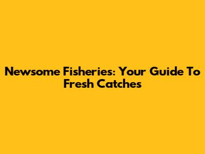 Newsome Fisheries: Your Guide To Fresh Catches