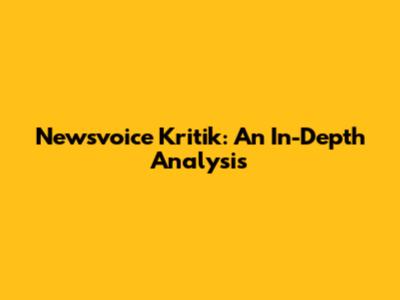 Newsvoice Kritik: An In-Depth Analysis
