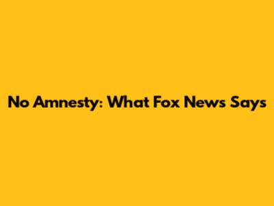 No Amnesty: What Fox News Says
