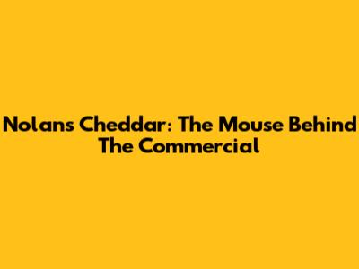 Nolan's Cheddar: The Mouse Behind The Commercial