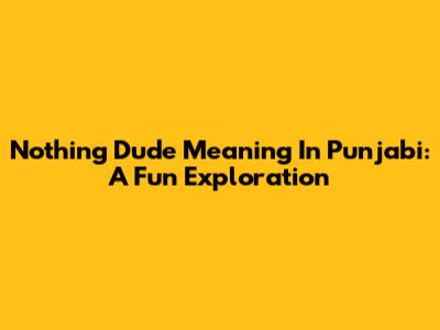 Nothing Dude Meaning In Punjabi: A Fun Exploration