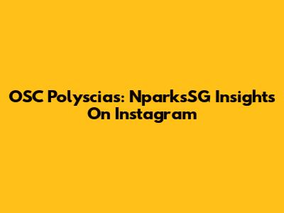 OSC Polyscias: NparksSG Insights On Instagram