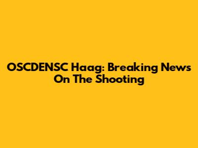 OSCDENSC Haag: Breaking News On The Shooting