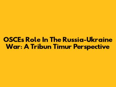 OSCE's Role In The Russia-Ukraine War: A Tribun Timur Perspective
