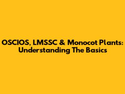 OSCIOS, LMSSC & Monocot Plants: Understanding The Basics