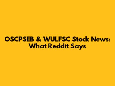 OSCPSEB & WULFSC Stock News: What Reddit Says