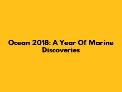 Ocean 2018: A Year Of Marine Discoveries
