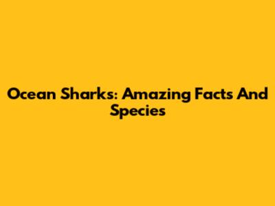 Ocean Sharks: Amazing Facts And Species