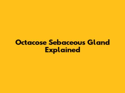 Octacose Sebaceous Gland Explained