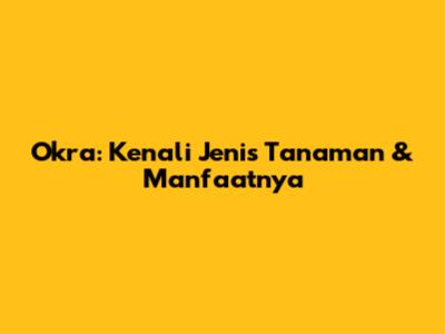 Okra: Kenali Jenis Tanaman & Manfaatnya
