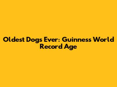 Oldest Dogs Ever: Guinness World Record Age