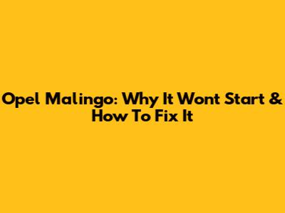 Opel Malingo: Why It Won't Start & How To Fix It
