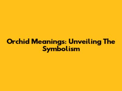 Orchid Meanings: Unveiling The Symbolism