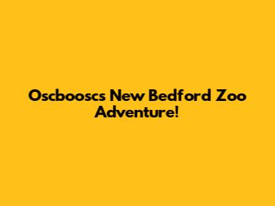 Oscboosc's New Bedford Zoo Adventure!