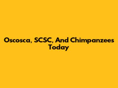 Oscosca, SCSC, And Chimpanzees Today