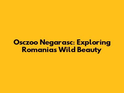 Osczoo Negarasc: Exploring Romania's Wild Beauty