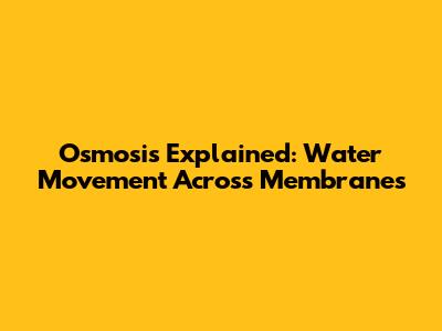 Osmosis Explained: Water Movement Across Membranes